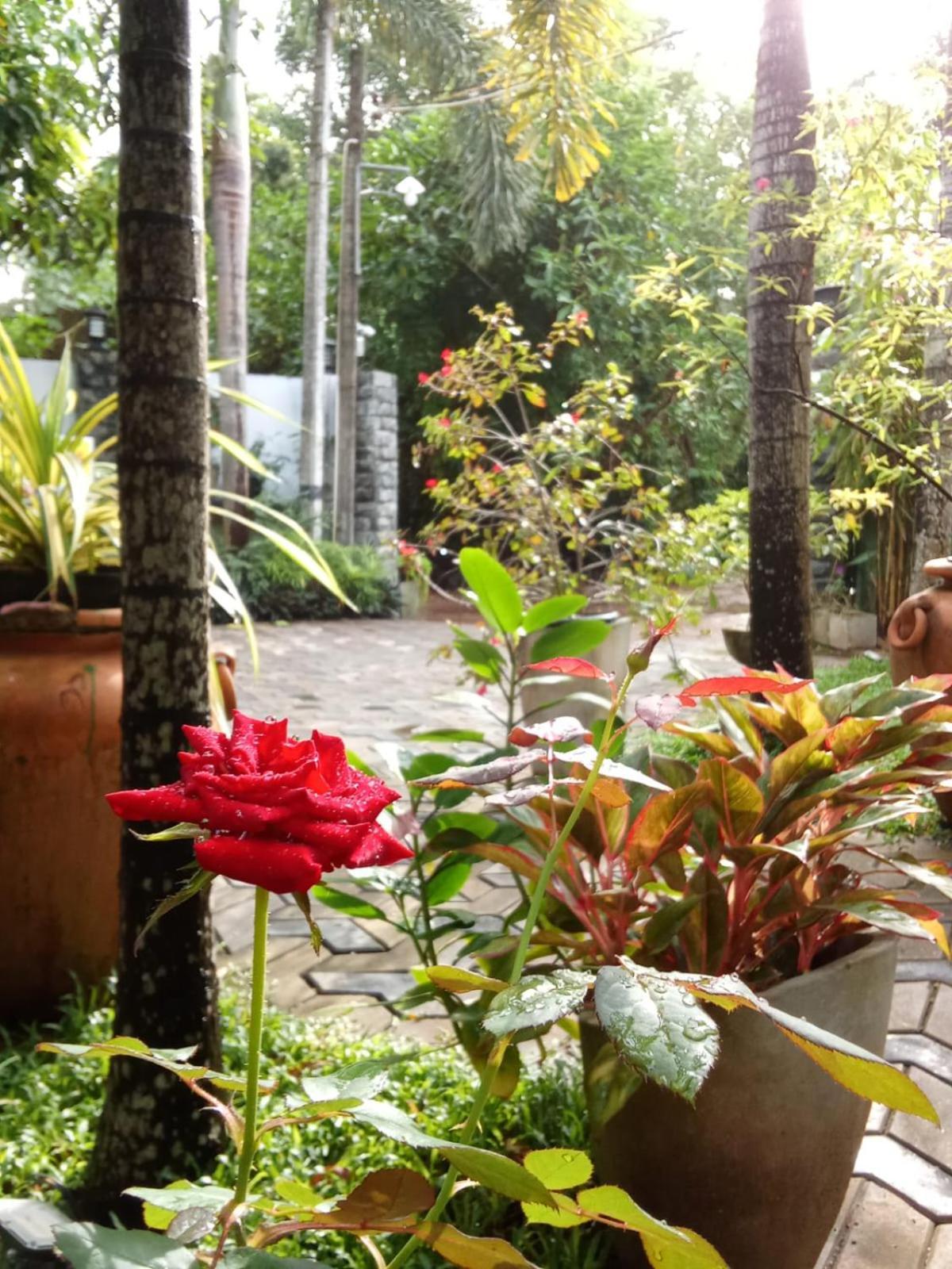 Awon Mirissa Hotel Exterior foto