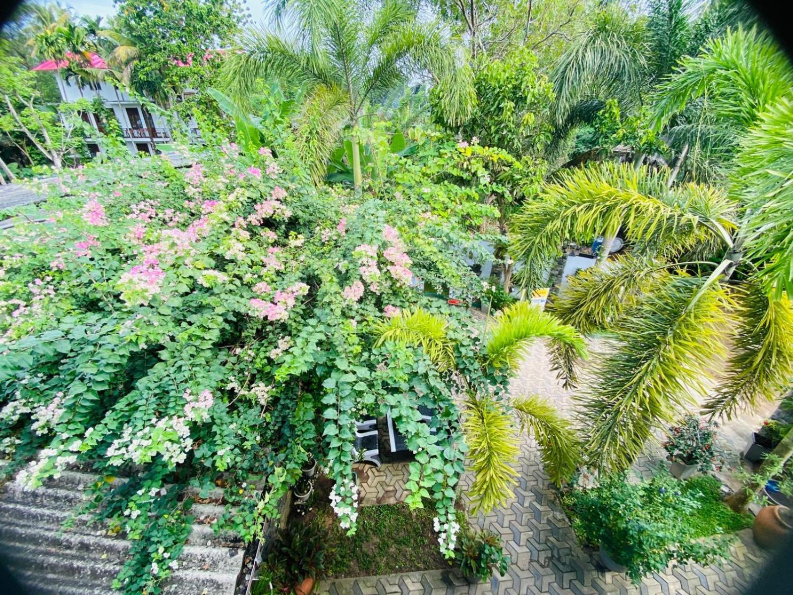 Awon Mirissa Hotel Exterior foto